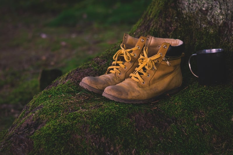 Hiking Adventure