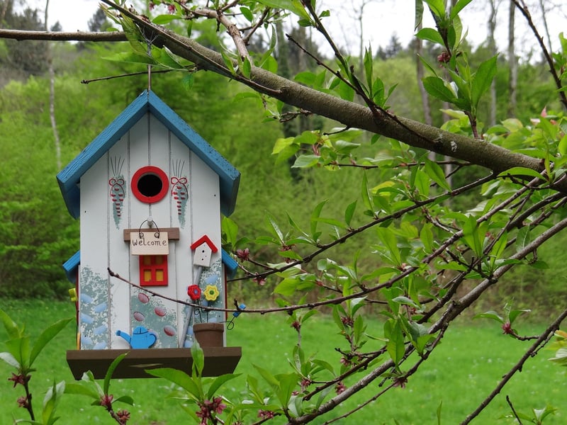 Treehouse Retreat